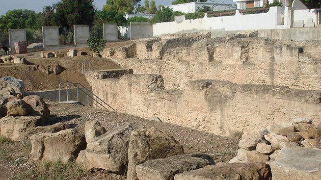 À la redécouverte de Carthage